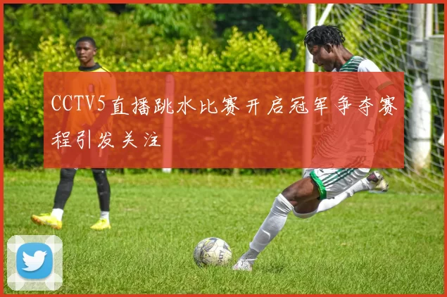 CCTV5直播跳水比赛开启冠军争夺赛程引发关注