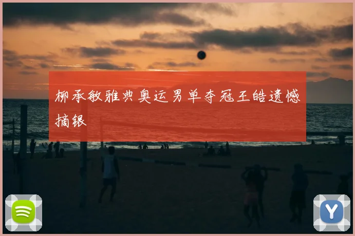 柳承敏雅典奥运男单夺冠王皓遗憾摘银