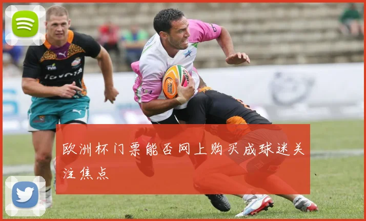 欧洲杯门票能否网上购买成球迷关注焦点